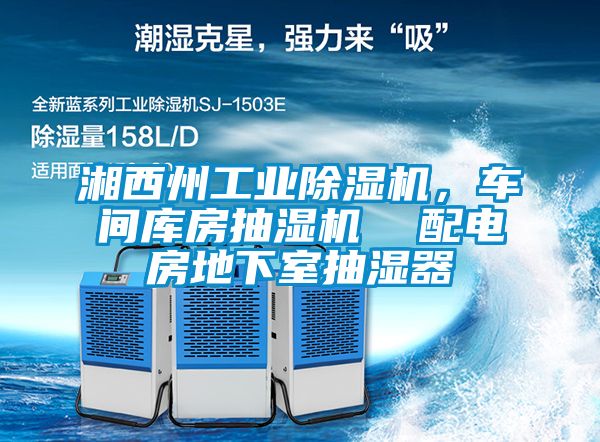 湘西州工業(yè)除濕機，車間庫房抽濕機  配電房地下室抽濕器