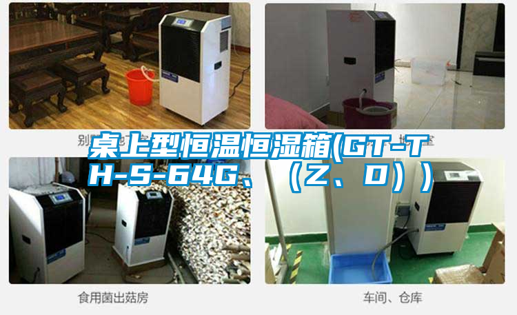 桌上型恒溫恒濕箱(GT-TH-S-64G、（Z、D）)