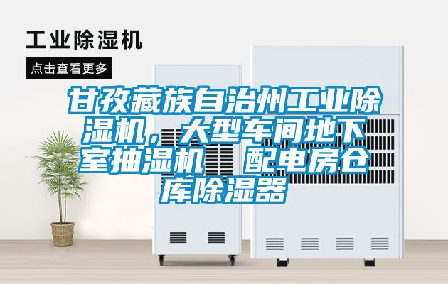 甘孜藏族自治州工業(yè)除濕機(jī)，大型車間地下室抽濕機(jī)  配電房倉庫除濕器