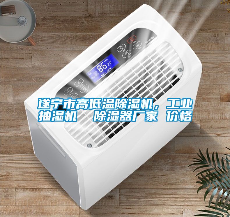 遂寧市高低溫除濕機，工業(yè)抽濕機  除濕器廠家 價格