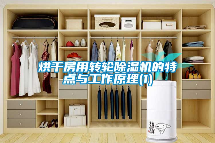 烘干房用轉(zhuǎn)輪除濕機(jī)的特點與工作原理(1)