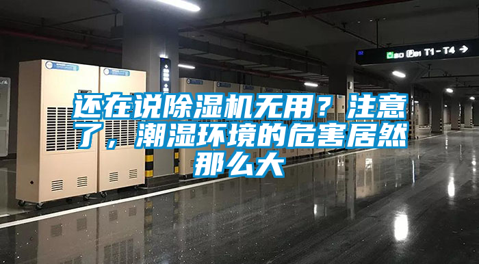 還在說(shuō)除濕機(jī)無(wú)用？注意了，潮濕環(huán)境的危害居然那么大