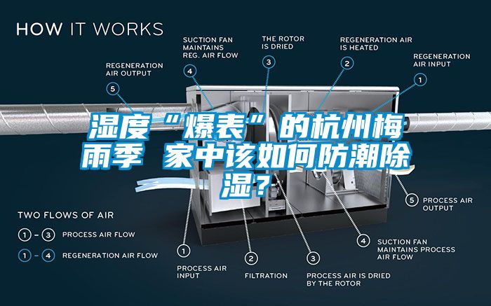 濕度“爆表”的杭州梅雨季 家中該如何防潮除濕？