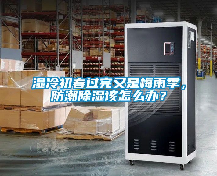濕冷初春過完又是梅雨季，防潮除濕該怎么辦？