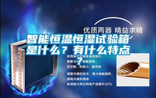 智能恒溫恒濕試驗箱是什么？有什么特點(diǎn)？