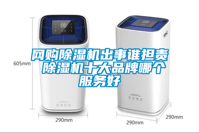 網(wǎng)購(gòu)除濕機(jī)出事誰擔(dān)責(zé) 除濕機(jī)十大品牌哪個(gè)服務(wù)好
