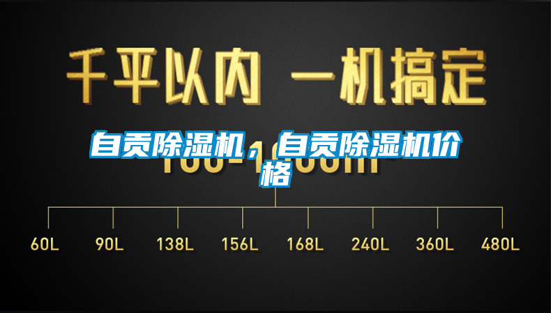 自貢除濕機(jī)，自貢除濕機(jī)價(jià)格