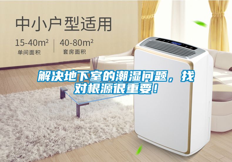 解決地下室的潮濕問題，找對根源很重要！