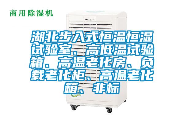 湖北步入式恒溫恒濕試驗(yàn)室、高低溫試驗(yàn)箱、高溫老化房、負(fù)載老化柜、高溫老化箱、非標(biāo)