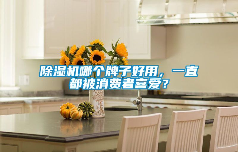 除濕機哪個牌子好用，一直都被消費者喜愛？