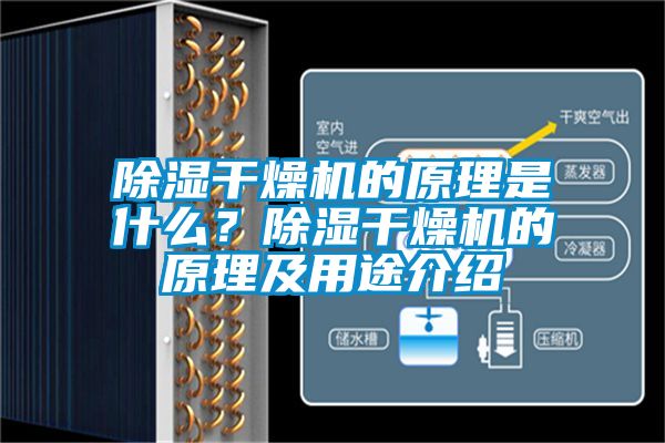 除濕干燥機的原理是什么？除濕干燥機的原理及用途介紹