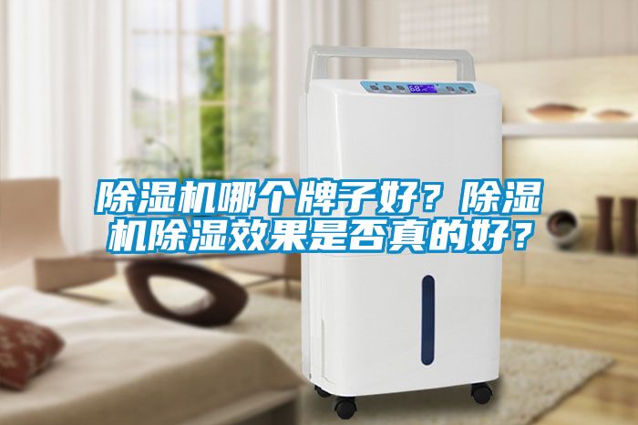 除濕機哪個牌子好？除濕機除濕效果是否真的好？