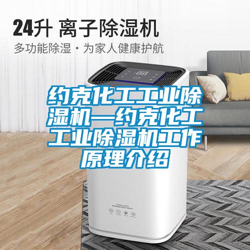 約克化工工業(yè)除濕機—約克化工工業(yè)除濕機工作原理介紹