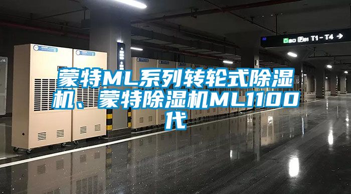蒙特ML系列轉(zhuǎn)輪式除濕機(jī)、蒙特除濕機(jī)ML1100代