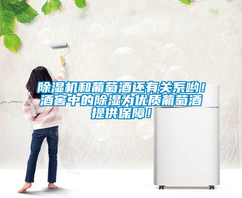 除濕機(jī)和葡萄酒還有關(guān)系喲！酒窖中的除濕為優(yōu)質(zhì)葡萄酒提供保障！