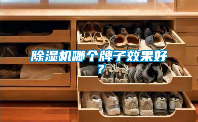除濕機(jī)哪個(gè)牌子效果好？