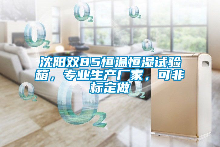 沈陽雙85恒溫恒濕試驗(yàn)箱，專業(yè)生產(chǎn)廠家，可非標(biāo)定做