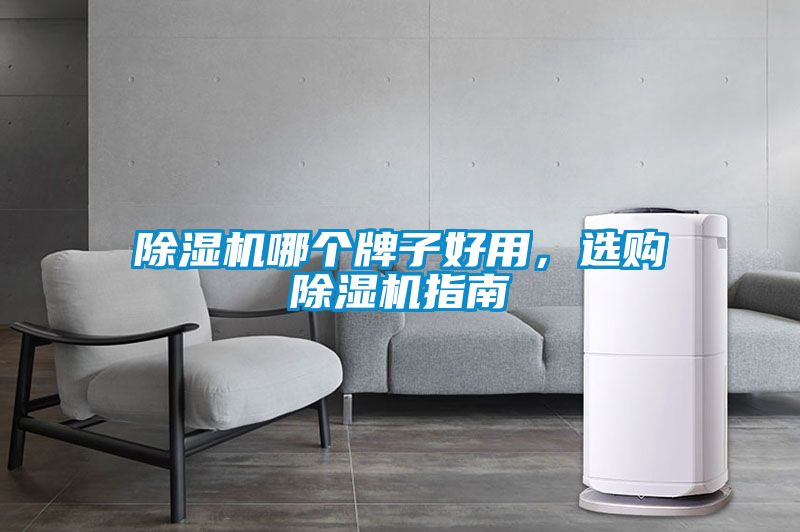 除濕機哪個牌子好用，選購除濕機指南