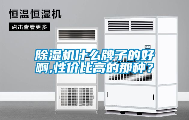 除濕機(jī)什么牌子的好啊,性價(jià)比高的那種？