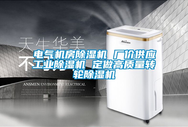電氣機房除濕機 廠價供應工業(yè)除濕機 定做高質量轉輪除濕機