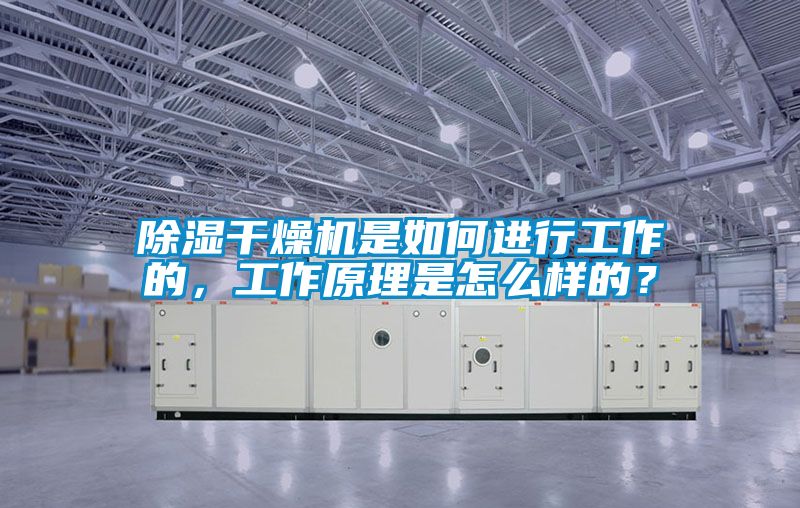 除濕干燥機是如何進行工作的，工作原理是怎么樣的？