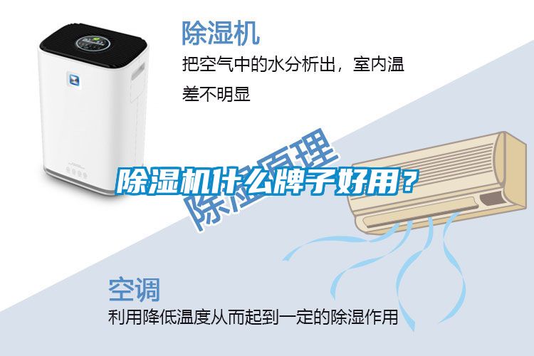除濕機(jī)什么牌子好用？