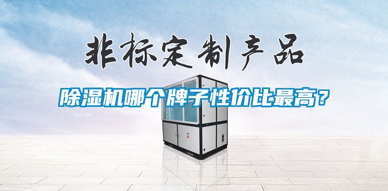 除濕機哪個牌子性價比最高？