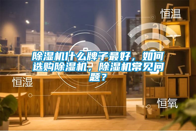 除濕機(jī)什么牌子最好，如何選購(gòu)除濕機(jī)，除濕機(jī)常見(jiàn)問(wèn)題？