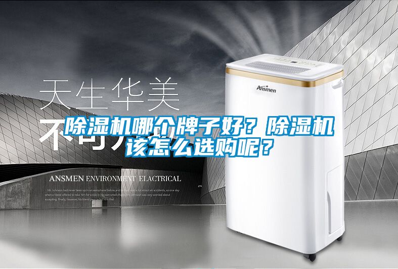 除濕機哪個牌子好？除濕機該怎么選購呢？