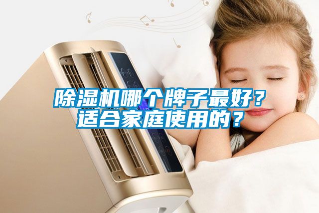 除濕機哪個牌子最好？適合家庭使用的？