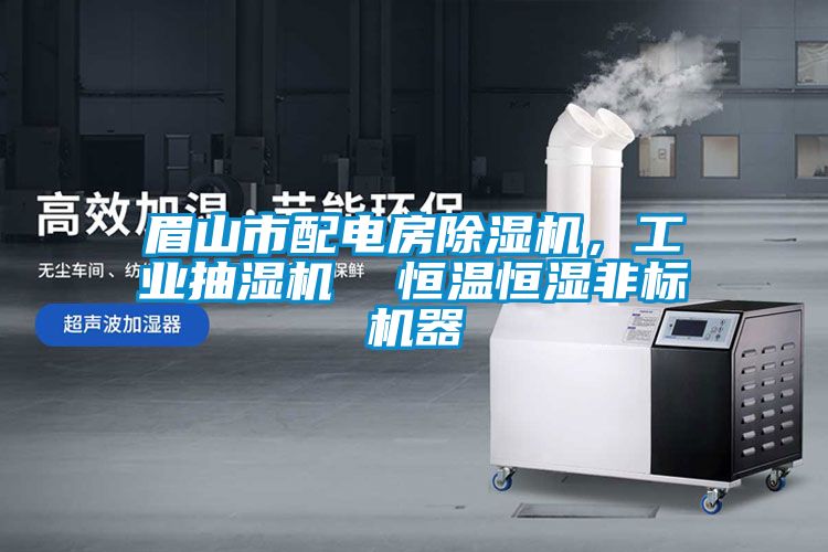 眉山市配電房除濕機(jī)，工業(yè)抽濕機(jī)  恒溫恒濕非標(biāo)機(jī)器