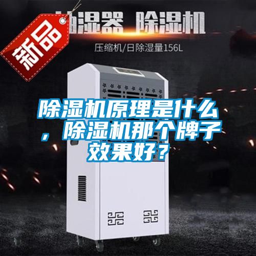 除濕機(jī)原理是什么，除濕機(jī)那個(gè)牌子效果好？