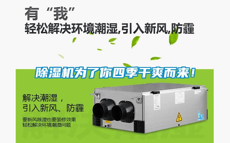 除濕機為了你四季干爽而來！