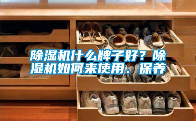 除濕機(jī)什么牌子好？除濕機(jī)如何來使用、保養(yǎng)