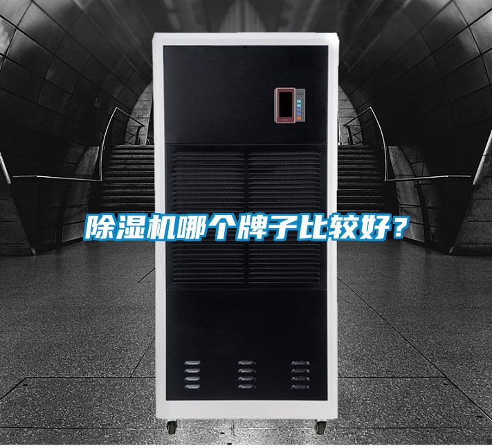 除濕機哪個牌子比較好？