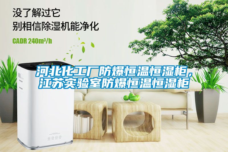 河北化工廠防爆恒溫恒濕柜，江蘇實(shí)驗(yàn)室防爆恒溫恒濕柜