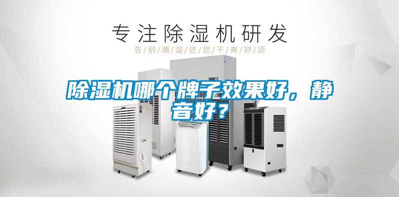 除濕機(jī)哪個(gè)牌子效果好，靜音好？