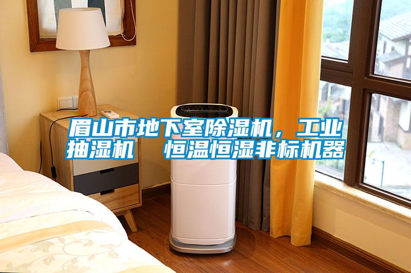 眉山市地下室除濕機(jī)，工業(yè)抽濕機(jī)  恒溫恒濕非標(biāo)機(jī)器