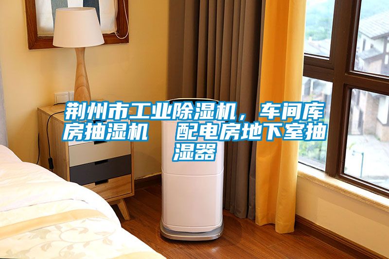 荊州市工業(yè)除濕機，車間庫房抽濕機  配電房地下室抽濕器