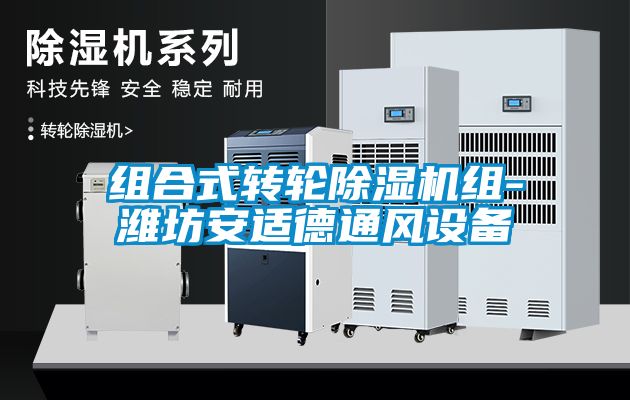 組合式轉(zhuǎn)輪除濕機組-濰坊安適德通風(fēng)設(shè)備