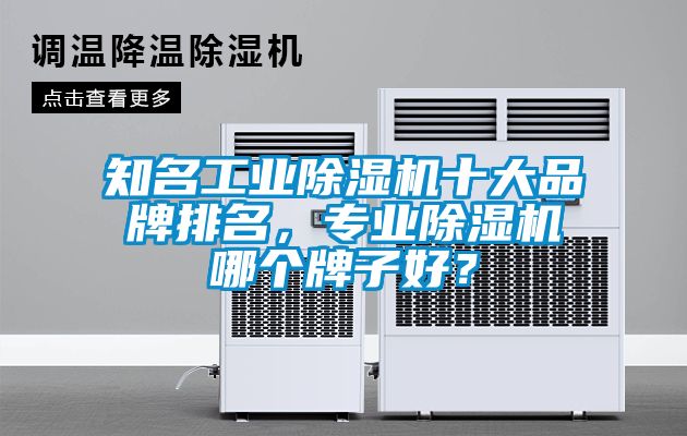知名工業(yè)除濕機(jī)十大品牌排名，專業(yè)除濕機(jī)哪個牌子好？