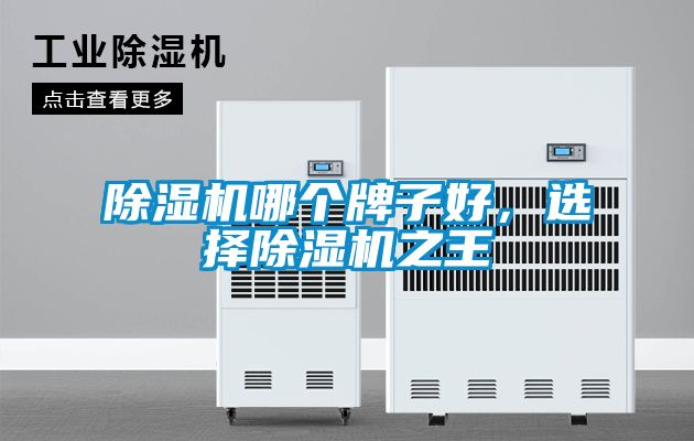 除濕機(jī)哪個(gè)牌子好，選擇除濕機(jī)之王