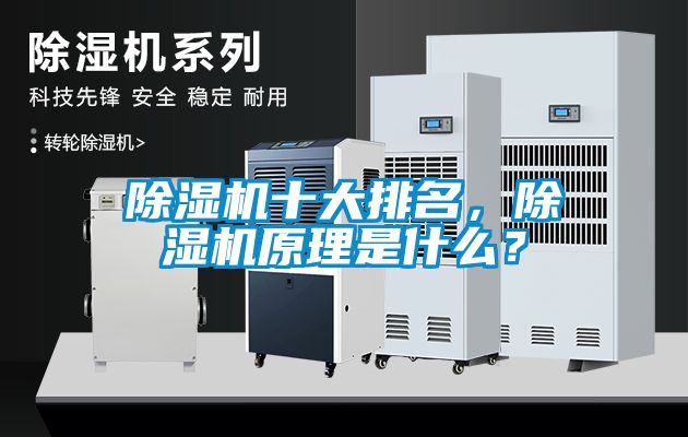 除濕機十大排名，除濕機原理是什么？