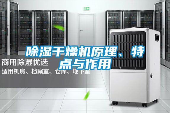 除濕干燥機(jī)原理、特點(diǎn)與作用