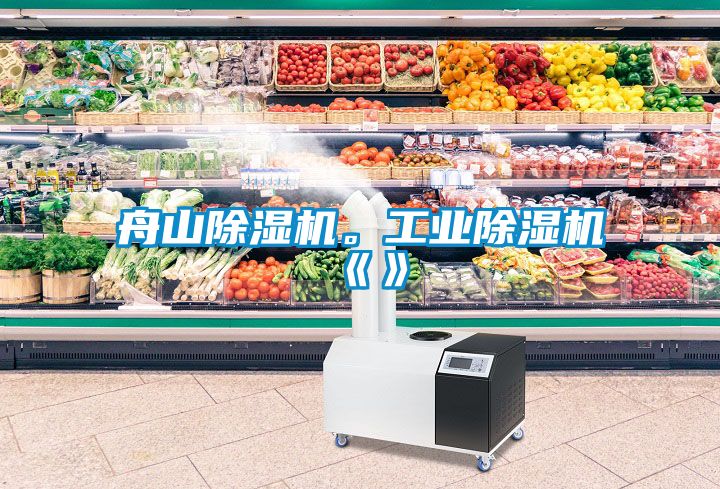 舟山除濕機(jī)。工業(yè)除濕機(jī)《》