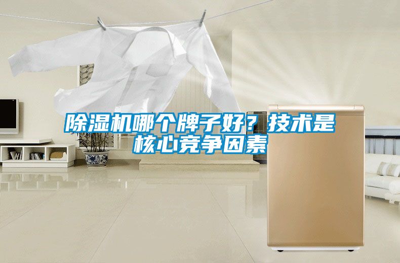 除濕機(jī)哪個牌子好？技術(shù)是核心競爭因素