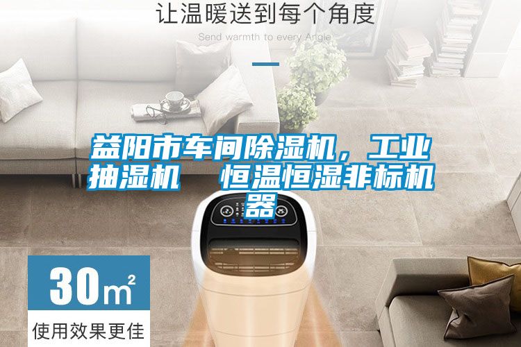 益陽(yáng)市車間除濕機(jī)，工業(yè)抽濕機(jī)  恒溫恒濕非標(biāo)機(jī)器