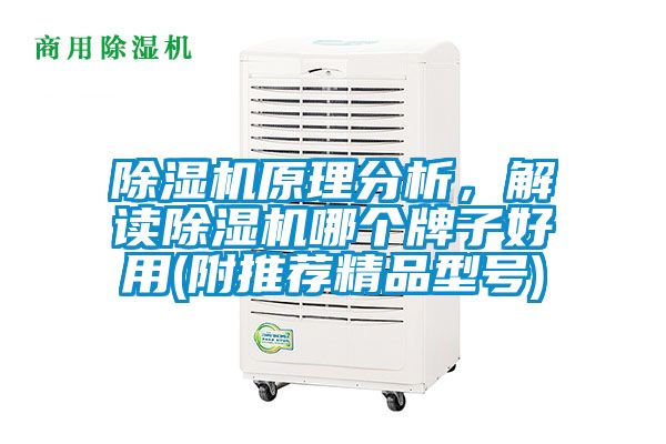 除濕機(jī)原理分析，解讀除濕機(jī)哪個牌子好用(附推薦精品型號)