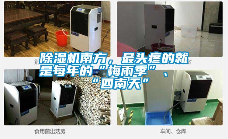 除濕機南方，最頭疼的就是每年的“梅雨季”、“回南天”