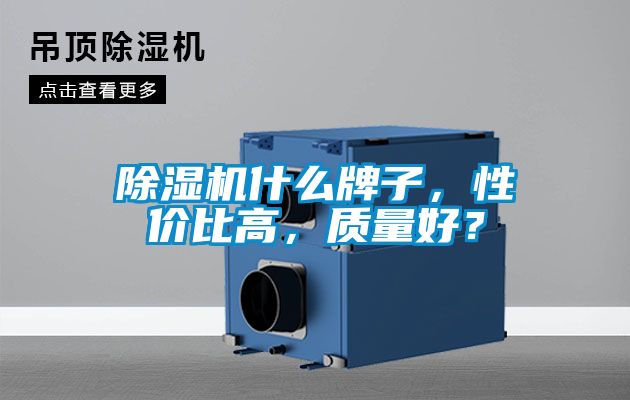 除濕機(jī)什么牌子，性價比高，質(zhì)量好？